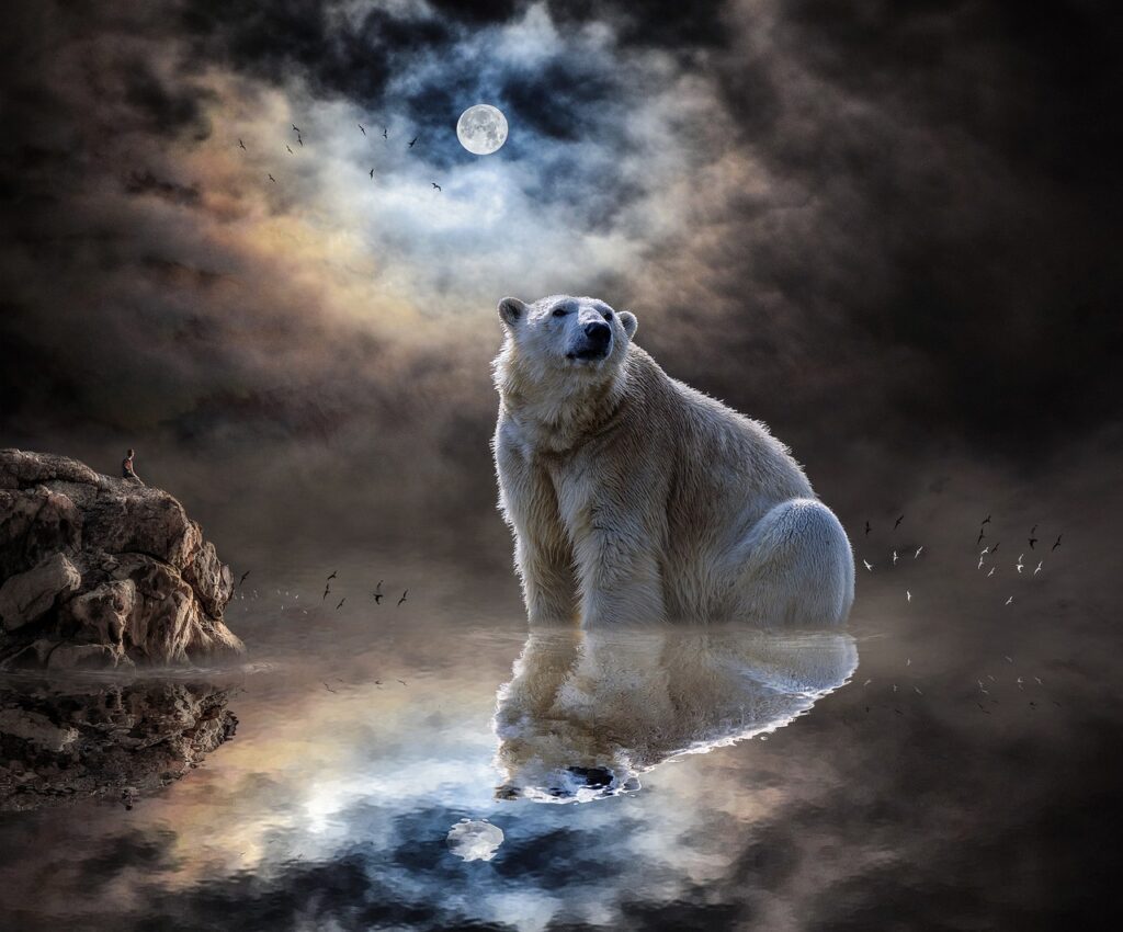 polar bear at night